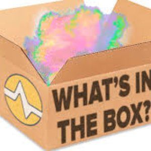 Women's Purse Mystery Box